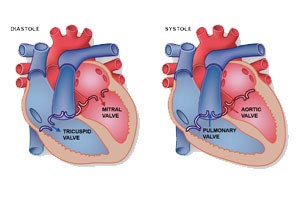 Best Cardiac Surgeon in Mumbai, Top Bypass Surgeon in India